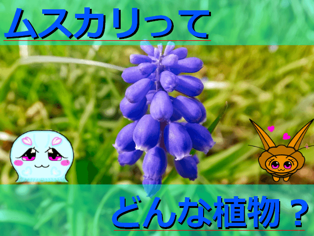 Thumbnail of post image 021